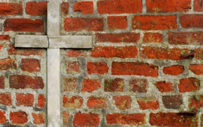 Build Up The Walls